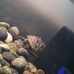 Aaron Hussey - Facebook