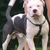 Aaron Hyde - @aaron.hyde2 - TikTok