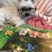 Aaron Ikeda - Facebook