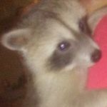 Aaron+single - @aaron.clay.16144606 - Instagram