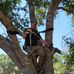 Aaron Insley - Facebook