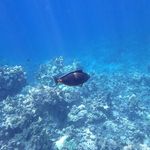 Aaron Innes - @innes.aaron - Instagram