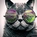 Aaron Infer - Facebook