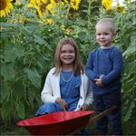 Aaron Ipock - @aaronipock - Instagram