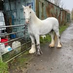 Aaron Kirby - @kirby_aaron - Instagram
