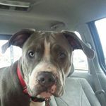 Aaron Irwin - @irwin_aaron - Instagram