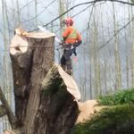 Aaron Isbell - @shiftyaaron1 - Instagram