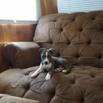 Aaron Ishee - Facebook