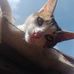 Aaron Islas - Facebook
