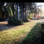 Aaron Ivan - @clean_futures - Instagram