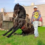 Aaron Ivan - @ivan_aron_ - Instagram