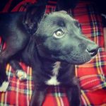 Aaron Ivers - @aaron_ivers_ - Instagram