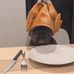 Aaron Jacobo - Facebook