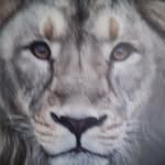Aaron Jacobo Alcala - @aaronjacoboalcala - Instagram