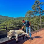 Aaron Jacobo Loza - @aaronjacobo9 - Instagram