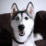 Aaron Javier FY - @aaronjavierfeli - Instagram