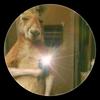 Aaron.Rubio - @aaron.javier754 - TikTok