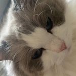 Aaron - @aaron_jeffers - Instagram