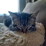 Angela Bobby Jeffers - @jeffers_aaron - Instagram