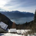 Aaron Jost - @aarontjost - Instagram