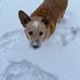 Aaron Jost - Facebook
