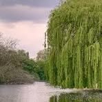 Aaron Juniper - Facebook