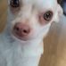 Aaron Kaiser - Facebook