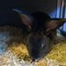 Aaron Karr - Facebook
