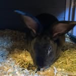 Aaron Karr - @aaron_karr90 - Instagram