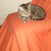 Aaron Kemnitz - Facebook