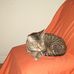 Aaron Kemnitz - Facebook