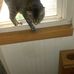 Aaron Kemnitz - Facebook