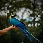 Aaron Kerr - @aaazza - Instagram