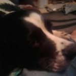 Aaron Kerr - @aaron.kerr.7 - Instagram