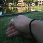 Aaron Kraus - @aaron.kraus - Instagram