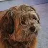 aaronkraus365 - @aaronkraus365 - TikTok
