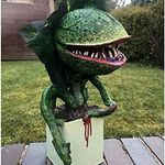 Aaron Kuckuk - @kuckukaaron - Instagram