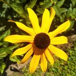 Aaron Kugler - @world.of.nature_animals - Instagram