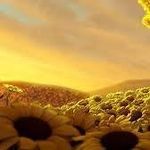 Aaron Kumar - @aaron._.kumar - Instagram