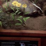 Aaron Kunsch - @aaronkunsch - Instagram