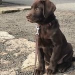 Aaron Kunze - @kun.aaron - Instagram