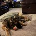 Aaron Kurkowski - Facebook