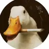 aronkurowski - @aronkurowski - TikTok