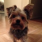 Buck Aaron Kush - @buck_aaron - Instagram