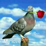 Aaron Kyengo - @aaronkyengo - Instagram