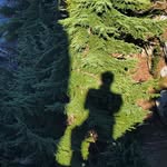 Aaron Kyle - @a_a_ron_kyle - Instagram
