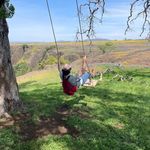 Aaron Labaree - @aaronlabaree - Instagram