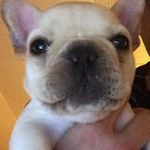 Lafferty Joshua Aaron - @laffertyjoshuaaaron - Instagram