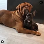 Aaron Lally - @aaron_lally24 - Instagram