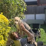 Aaron James Leech - @velvslaw - Instagram